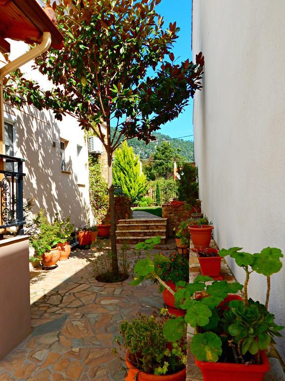 Panorama Apartments And Studios Chrisi Ammoudia Exteriör bild